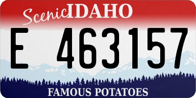 ID license plate E463157