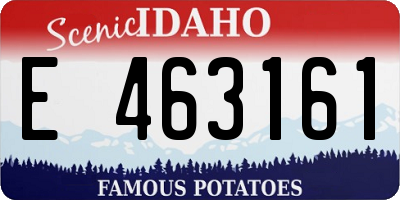 ID license plate E463161