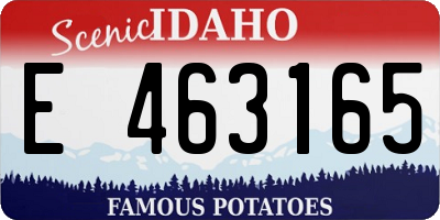 ID license plate E463165