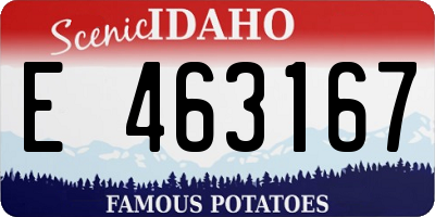 ID license plate E463167