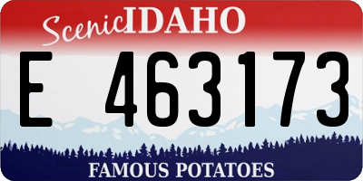 ID license plate E463173