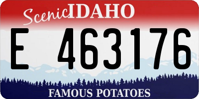 ID license plate E463176