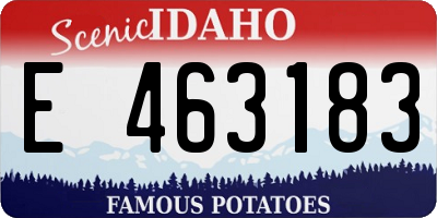 ID license plate E463183