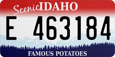 ID license plate E463184
