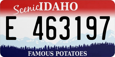 ID license plate E463197
