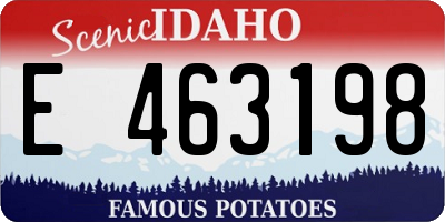 ID license plate E463198