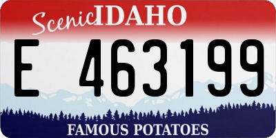 ID license plate E463199