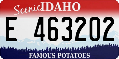 ID license plate E463202