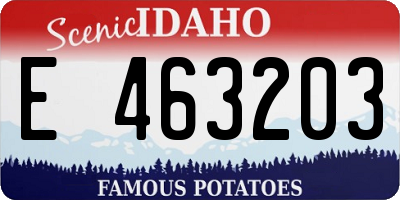 ID license plate E463203