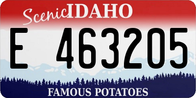 ID license plate E463205