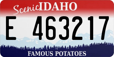 ID license plate E463217