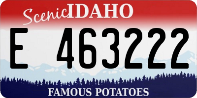 ID license plate E463222