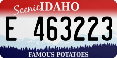 ID license plate E463223