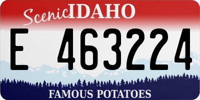 ID license plate E463224