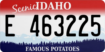 ID license plate E463225