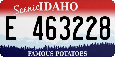 ID license plate E463228