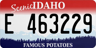 ID license plate E463229