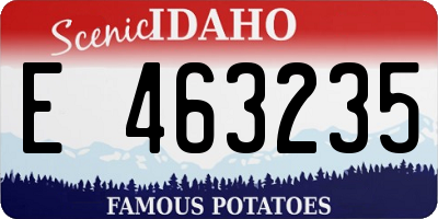 ID license plate E463235