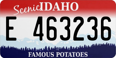 ID license plate E463236