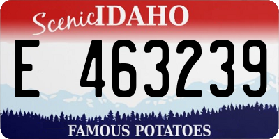 ID license plate E463239