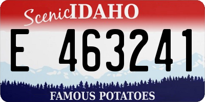 ID license plate E463241