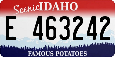 ID license plate E463242