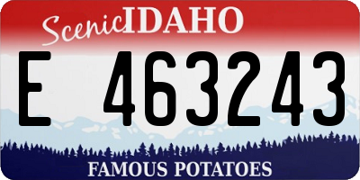ID license plate E463243