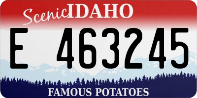 ID license plate E463245