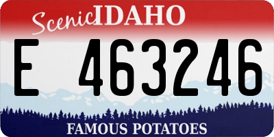 ID license plate E463246
