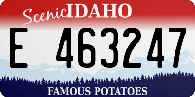 ID license plate E463247