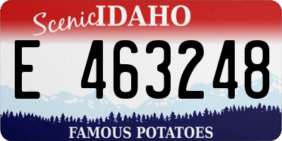 ID license plate E463248