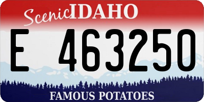 ID license plate E463250