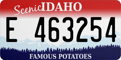 ID license plate E463254