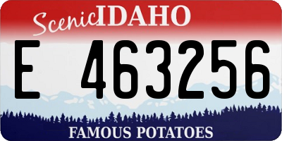 ID license plate E463256