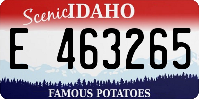 ID license plate E463265