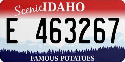 ID license plate E463267