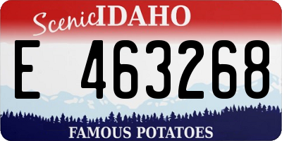 ID license plate E463268