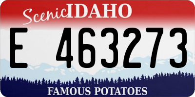 ID license plate E463273