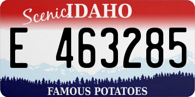 ID license plate E463285