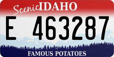 ID license plate E463287