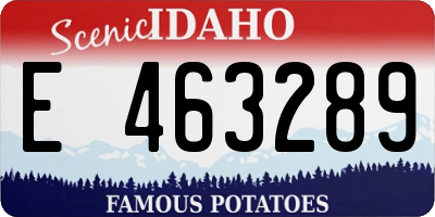 ID license plate E463289