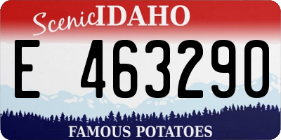 ID license plate E463290