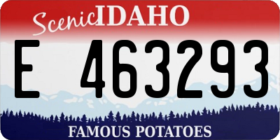 ID license plate E463293