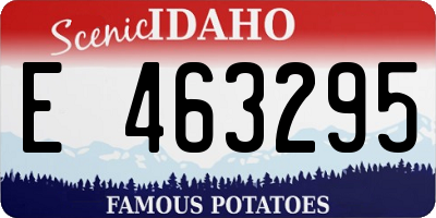 ID license plate E463295