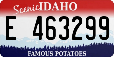 ID license plate E463299