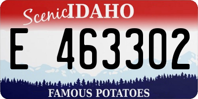 ID license plate E463302