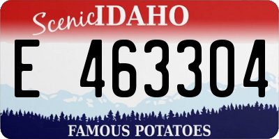 ID license plate E463304
