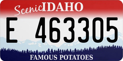 ID license plate E463305