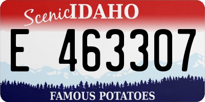 ID license plate E463307