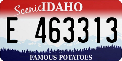 ID license plate E463313